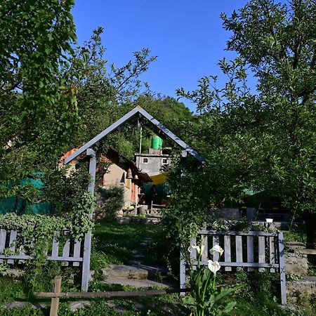 Himalayan Mud Resort Kasol Εξωτερικό φωτογραφία